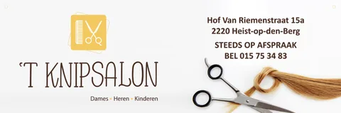 Logo 't Knipsalon